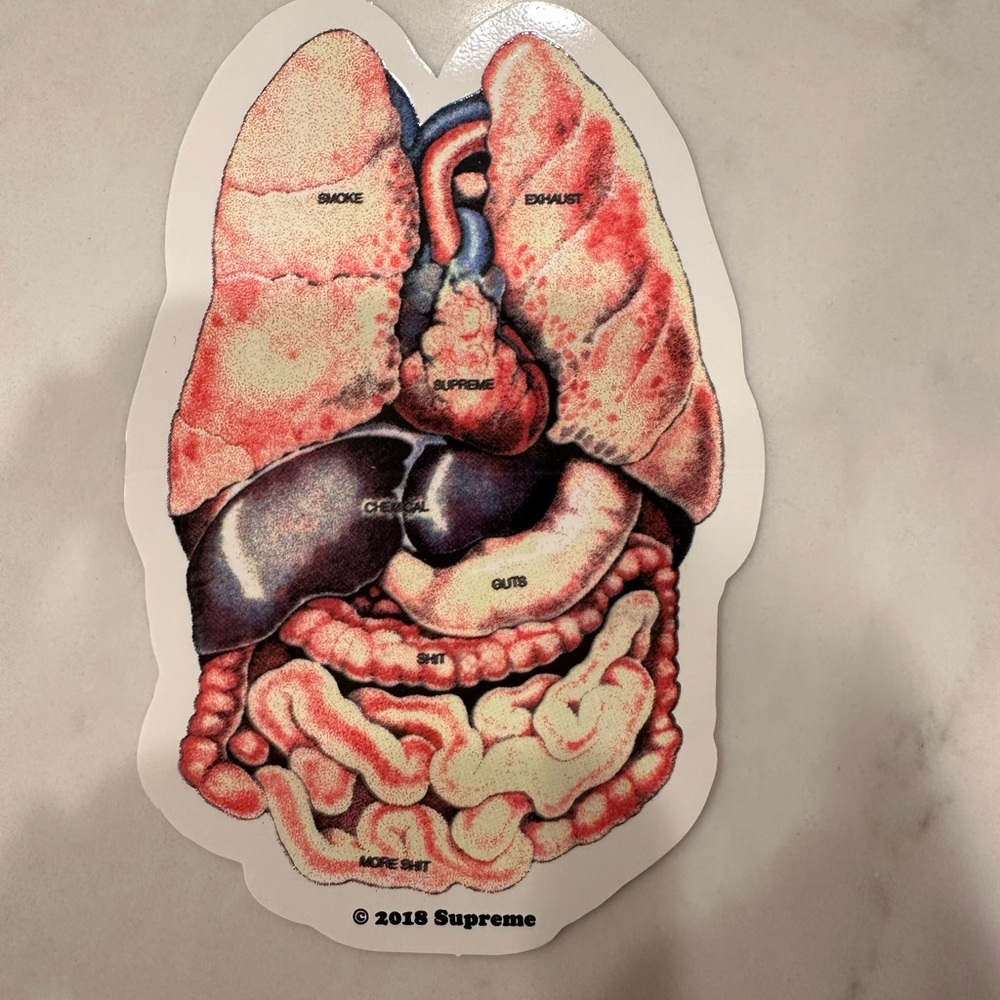 Supreme Anatomical Organs Sticker